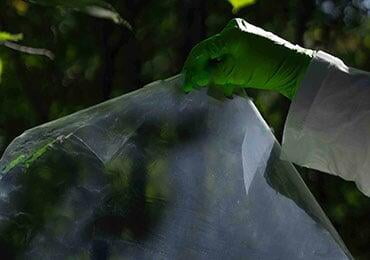 Another bio-based composite membrane emerges! Extracted from marine organisms